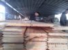 供應檜木板材（HINOKI）BB/AB級牆板 廠家直銷量大從優批發檜木板