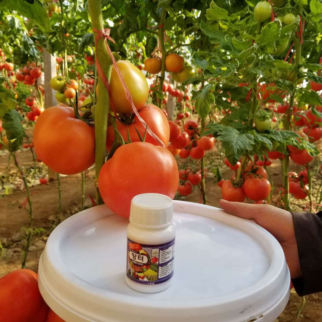 供应 进口农用化肥 高浓度水溶性硅肥