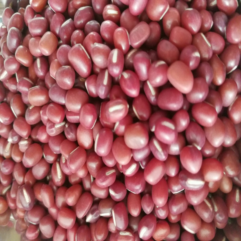 豆,奶花,红花,紫花,奶圆,紫圆,粉圆,白芸豆,黑芸豆,红小豆,豌豆,蚕豆