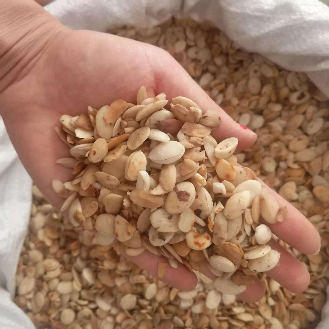 炒桃仁【振兴中药】中药材批发供应 山东大统货 量大从优-阿里巴巴