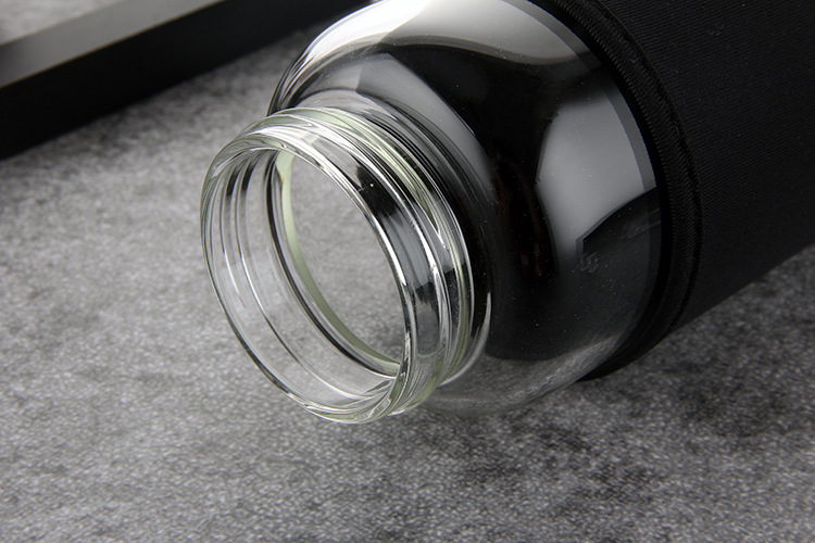 提手玻璃杯大容量太空水杯户外出行旅游车载便携多用泡茶运动壶