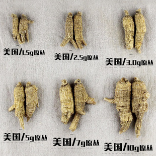 美国野山花旗参 长芦头粒 美种西洋参可切片 可规格批发-阿里巴巴