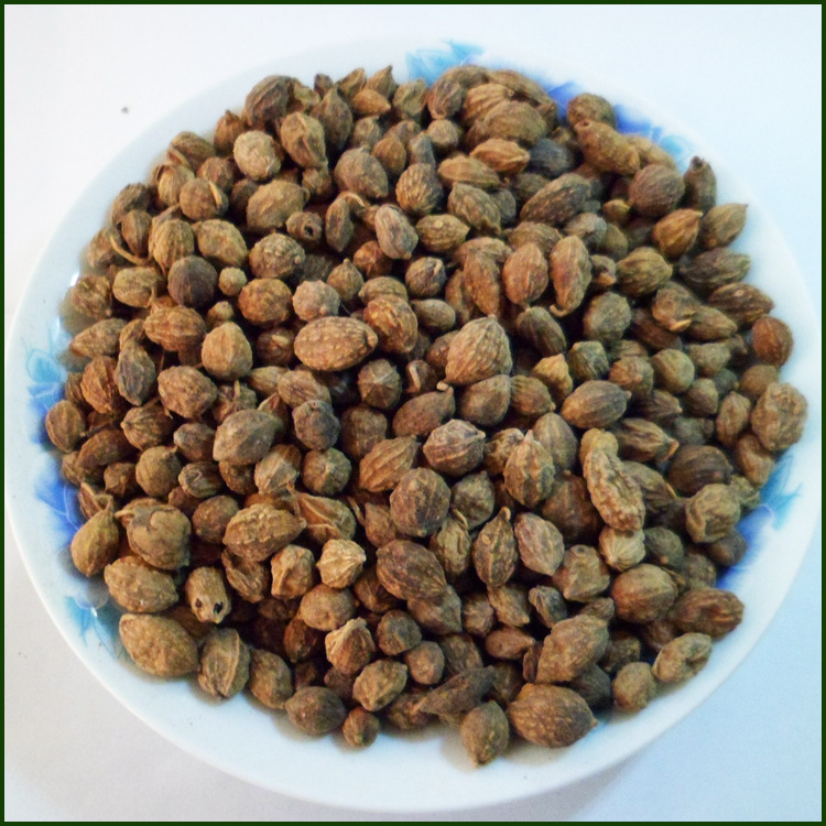 亳州中药材供应果实子仁药材益智仁