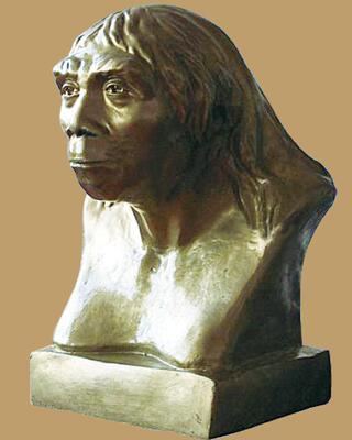 (北京人) 历史模型 (历史头像) (历史教室) 投标专用