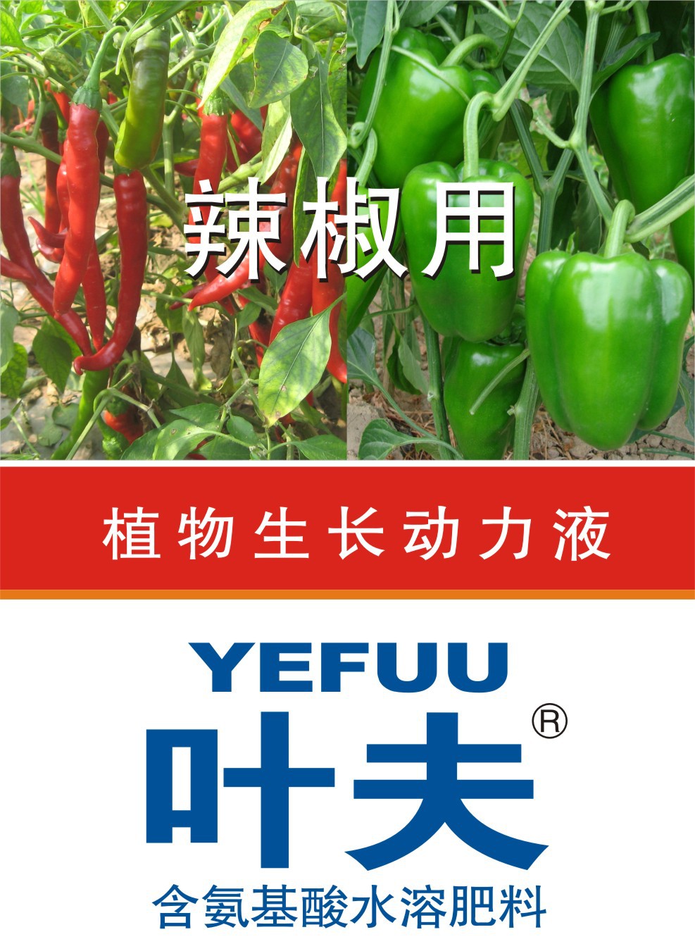 叶夫辣椒专用叶面肥氨基酸螯合菌肥合一 厂家批发 350克x20瓶/箱