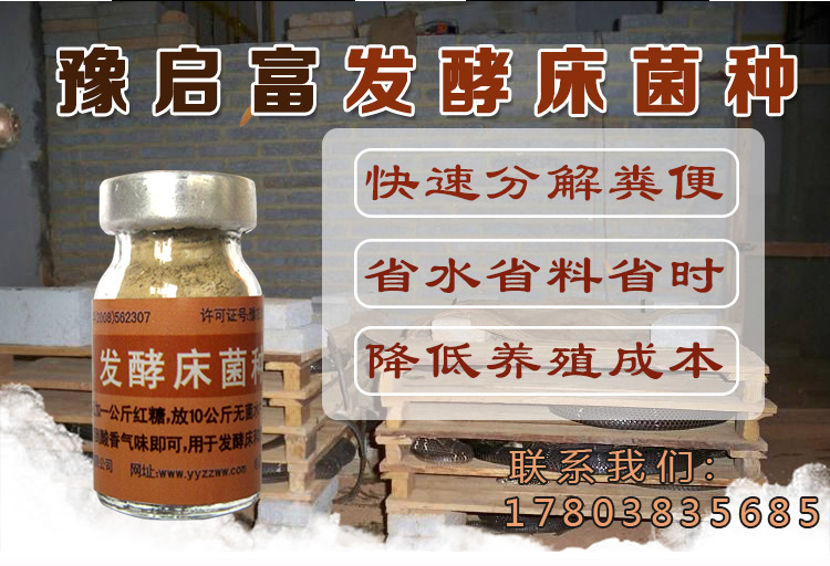 养蛇发酵床菌种