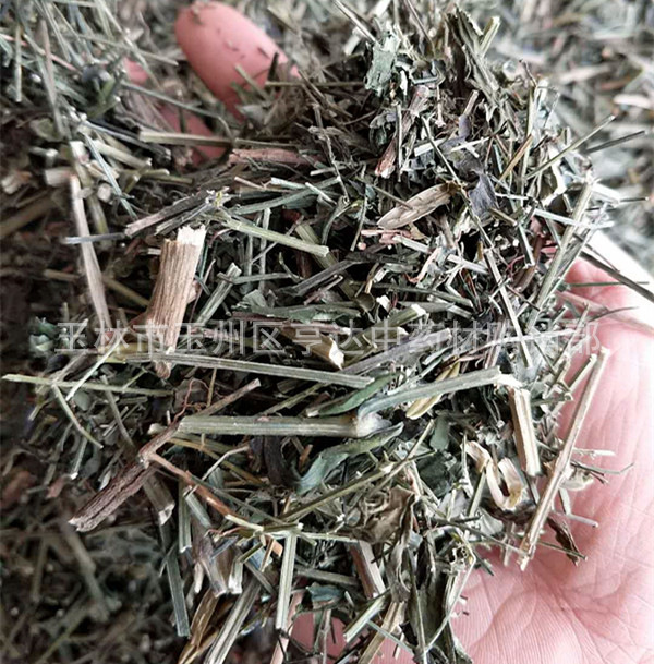 穿心莲 苦胆草 四方莲 金香草 苦草 穿心连带叶货-阿里巴巴