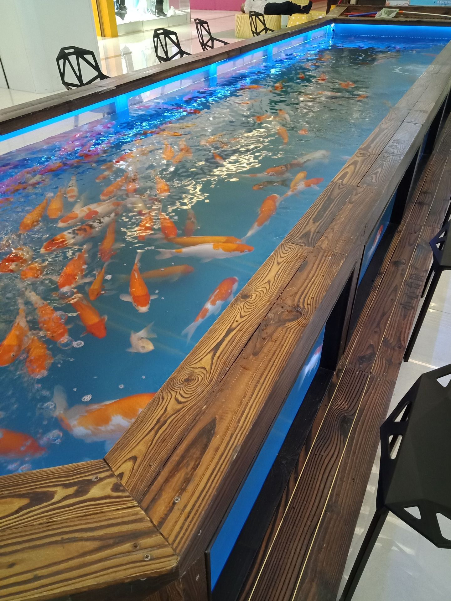 儿童鱼池喂奶鱼池吃奶鱼池儿童捞鱼池吃奶鱼鱼池厂家定制价格优惠