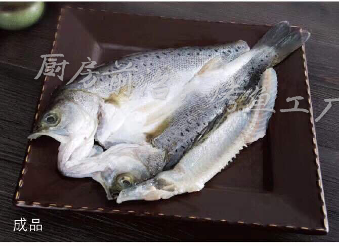 凌波鱼_凌波鱼图片_清江鱼图片_凌波鱼是什么鱼图片_视安网