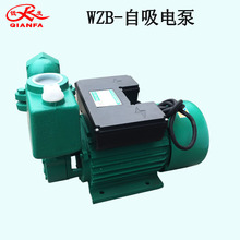 厂家批发WZB井水家用自来水抽水增压灌溉家用高压自吸增压泵