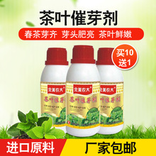 茶叶催芽剂 茶树专用催芽叶面肥 茶树萌芽早芽齐芽肥增产量调节剂