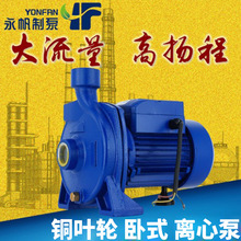 循环加压水泵 IQ750W增压泵 自来水水池加压抽水泵 家用水泵 直销