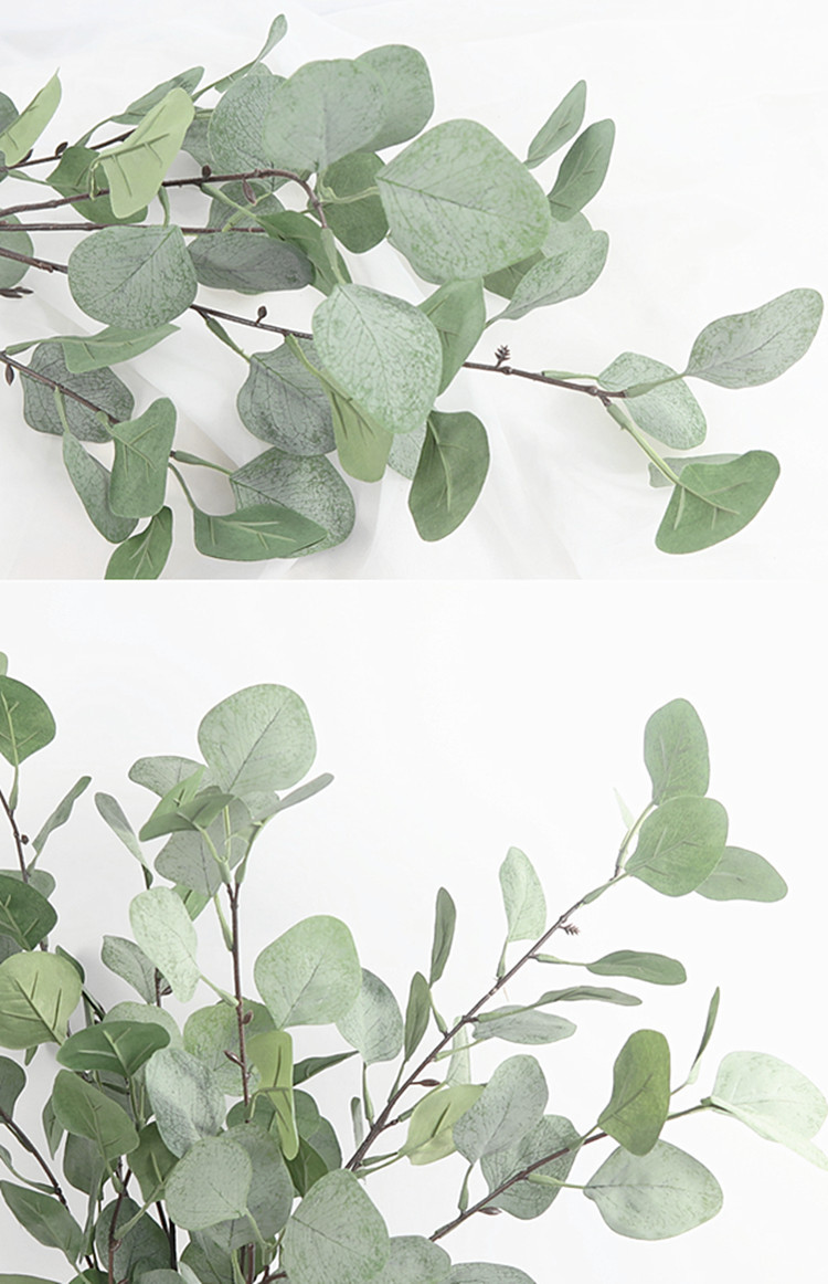 圆叶尤加利金钱叶仿真 毛浆尤加利桉树叶 仿真植物绿植婚庆插花