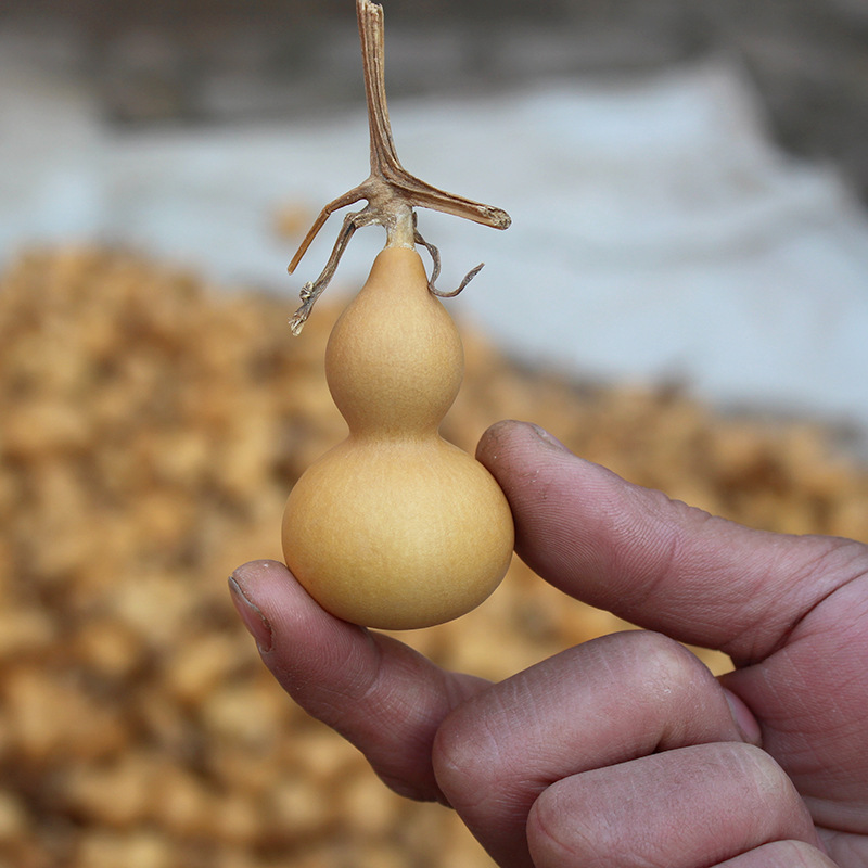 美国手捻小葫芦大量批发带龙头原色葫芦旅游传统工艺风水地摊摆件