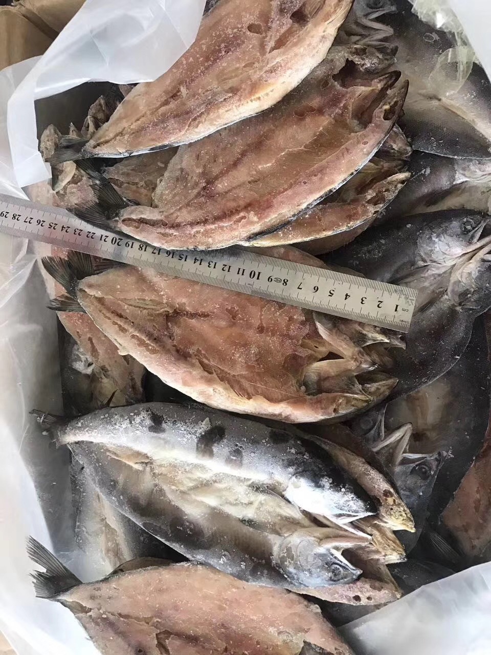 日式开边鱼500g 一夜干开片鱼 新鲜开背鱼 料理烧烤海鲜