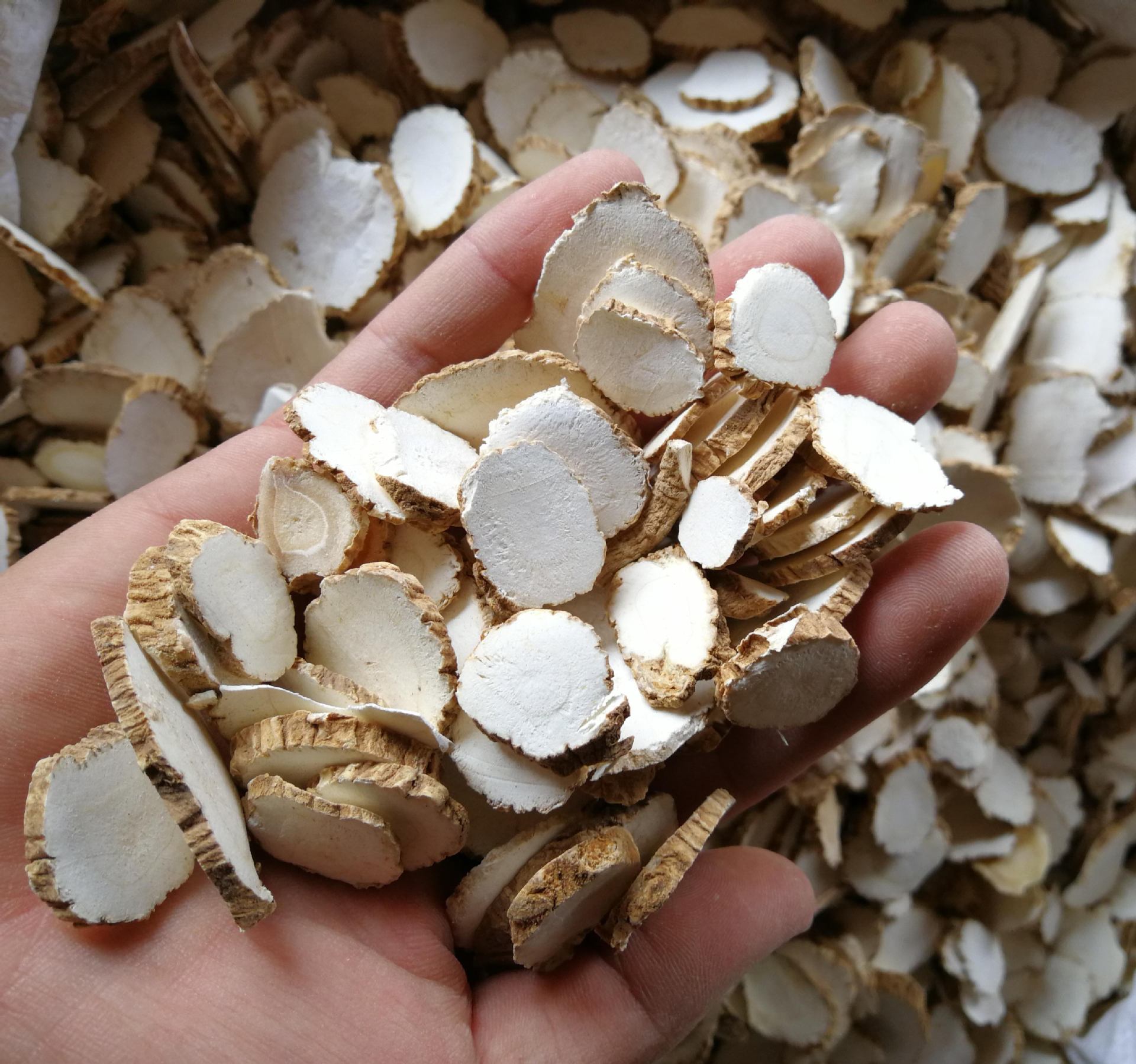 供应中药材白芷 白芷片 香味调料精选白芷整个片 量大从优白芷