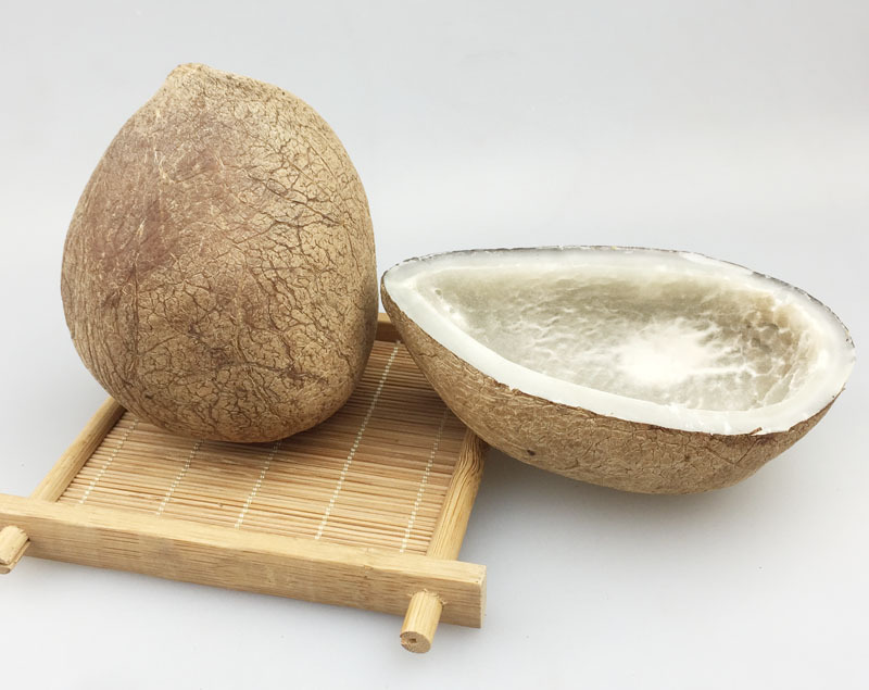 印度椰子皇玉白肉海椰皇椰青王正宗进口新鲜煲汤甜品酒店食材批发