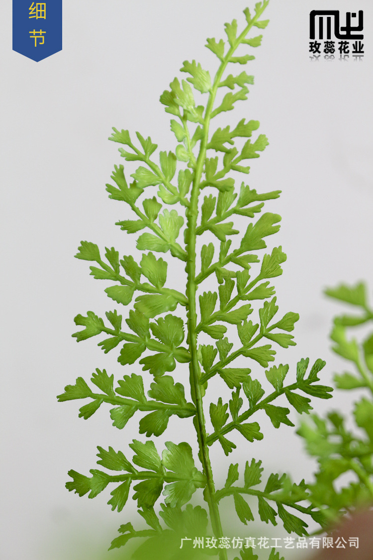 高仿真蕨草盆栽假草绿植马尾蕨草大型室内户外摆放装饰假树软装