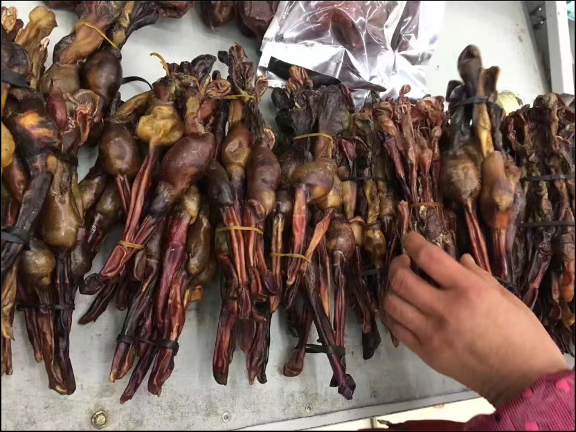 恒海康源堂狗鞭 选 产地 选个狗鞭 狗肾鞭 1克是一条