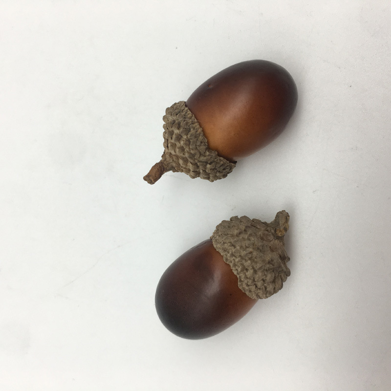 栗子天然盖松果节日圣诞拍摄道具小坚果仿真橡果家居商城装饰摆设