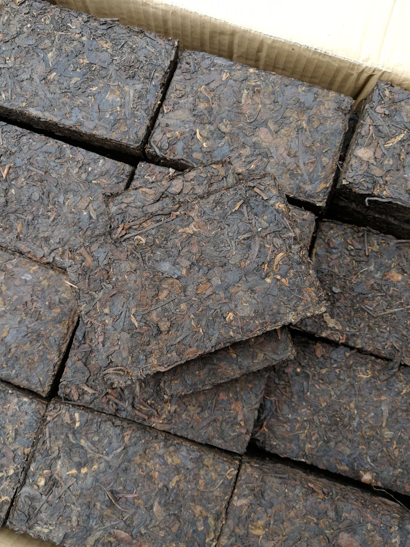 云南普洱茶砖裸光茶砖250克枣香陈香没有包装纸老茶陈茶陈年普洱