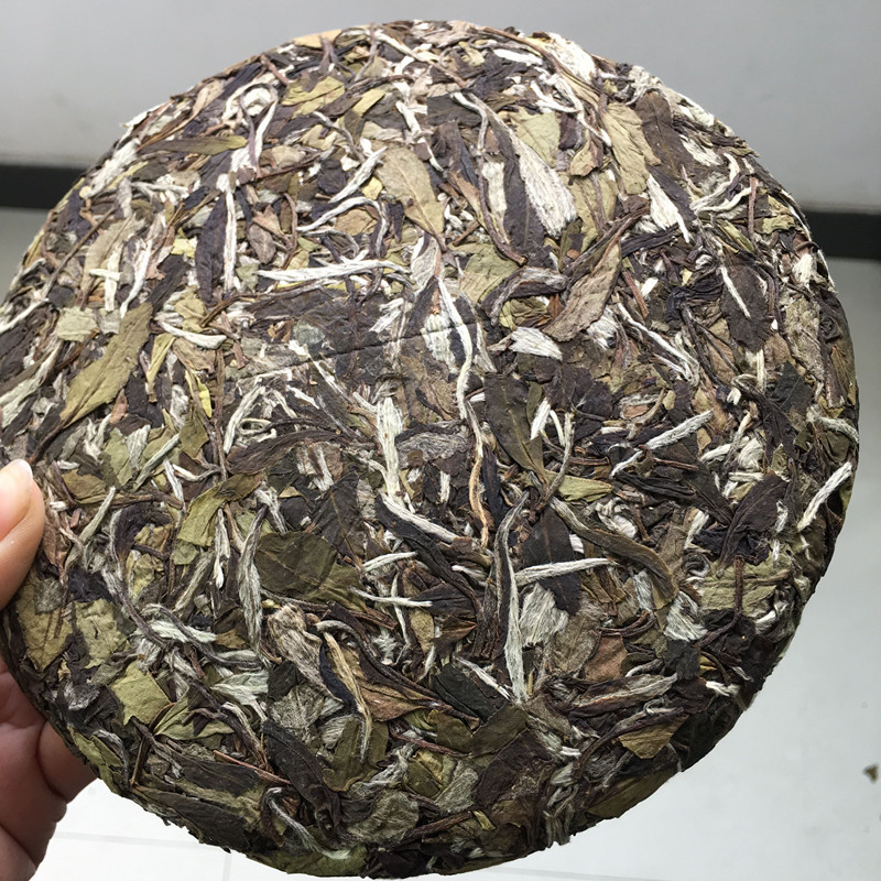 福鼎白茶 16年高山陈香白牡丹饼350克 原产地直销批发 特价批发