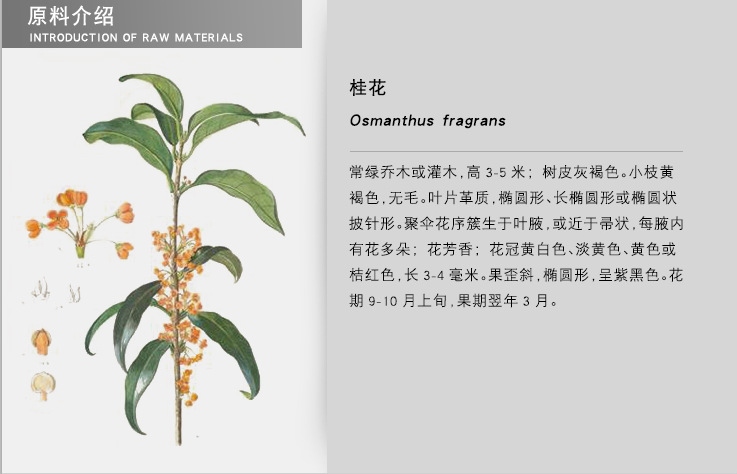 批发零售黄金桂花纯露喷雾舒缓保湿活肤收毛孔去黑头现货化妆水