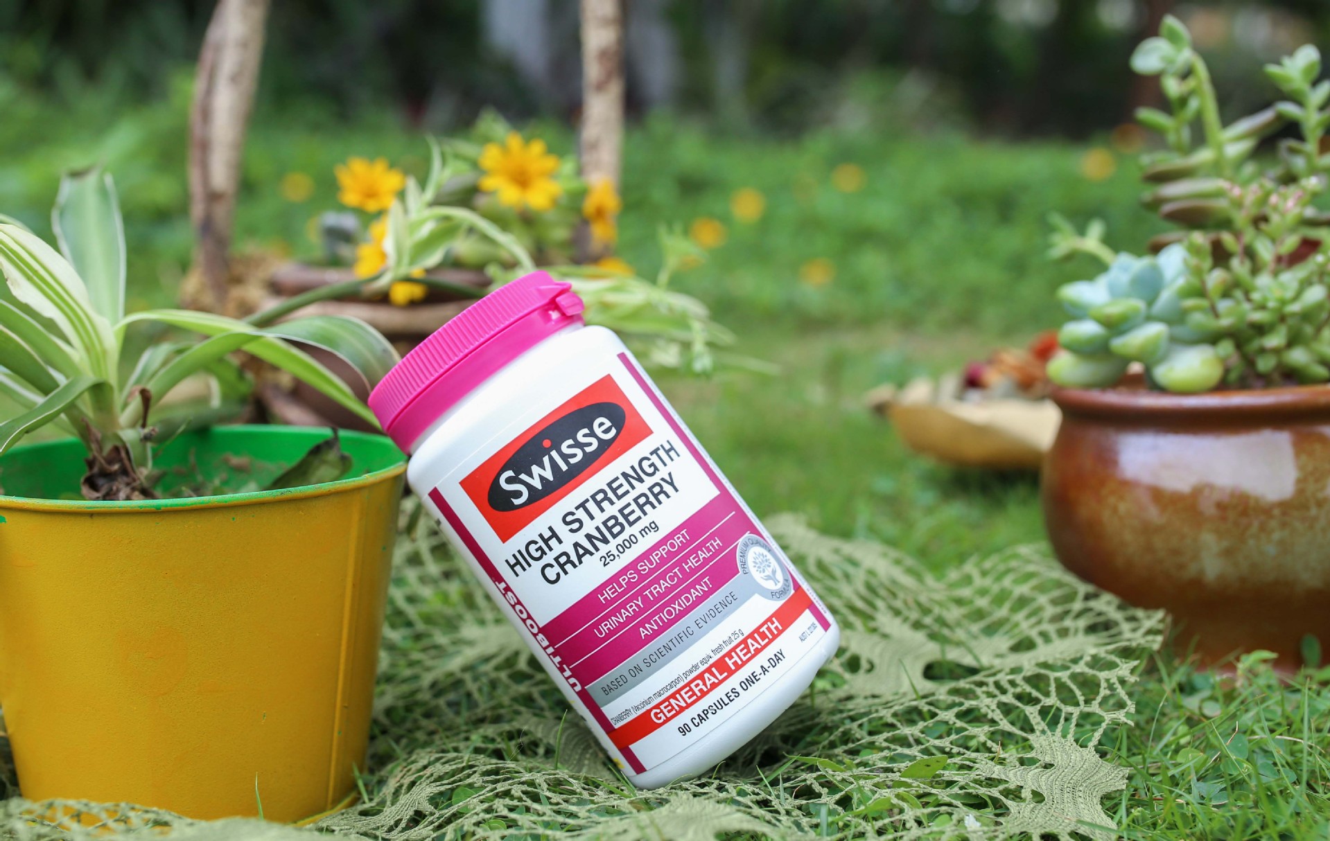 澳洲进口 swisse蔓越莓精华 90粒