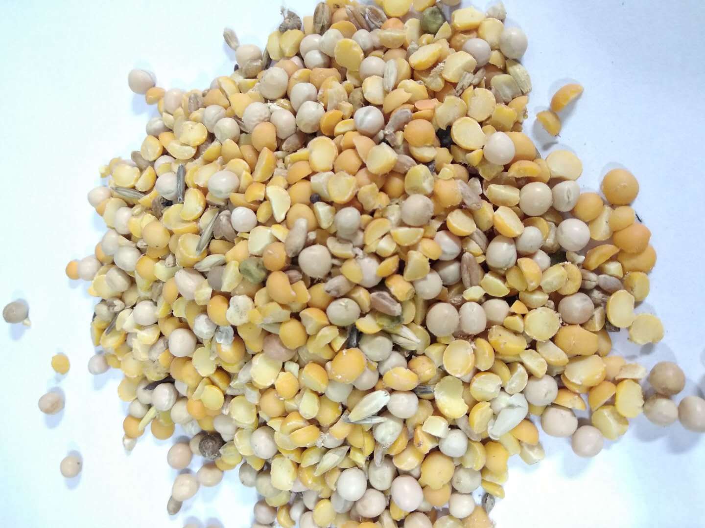 厂家批发豌豆纤维 烘干豆渣 原料豌豆皮 豌豆饲料散装