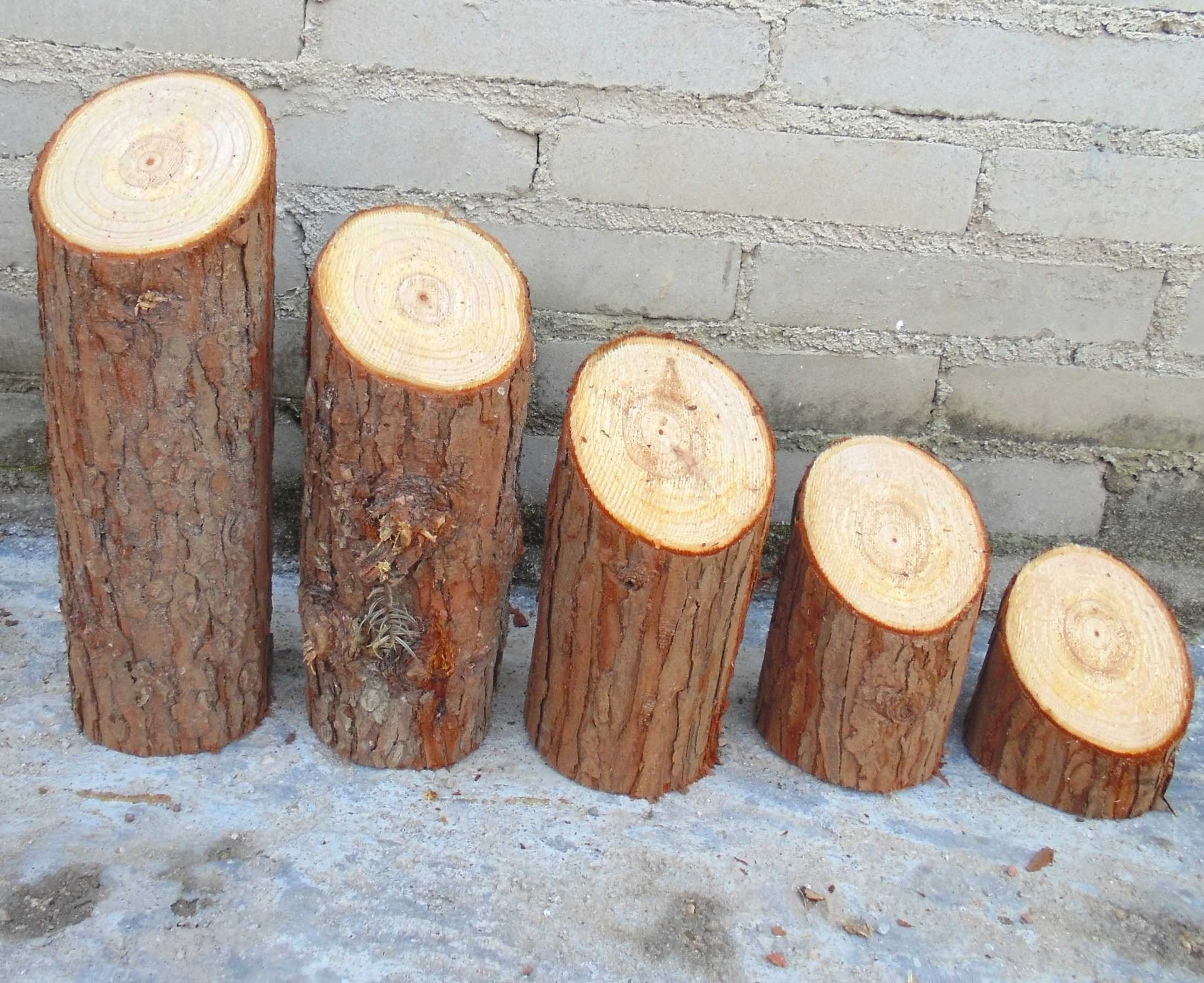 斜边木桩摆件 美式乡村天然杉木 木尖壁饰实木装饰品道具