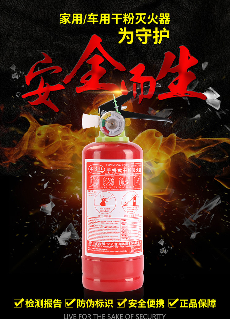 琴企车载小型便携灭火器1kg2kg4kg家用汽车手提式干粉灭火器车用