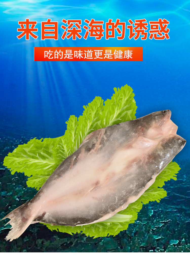 活冻湄公鱼 开背巴沙鱼 开背清江回鱼 开背鲈鱼 产地直供批发