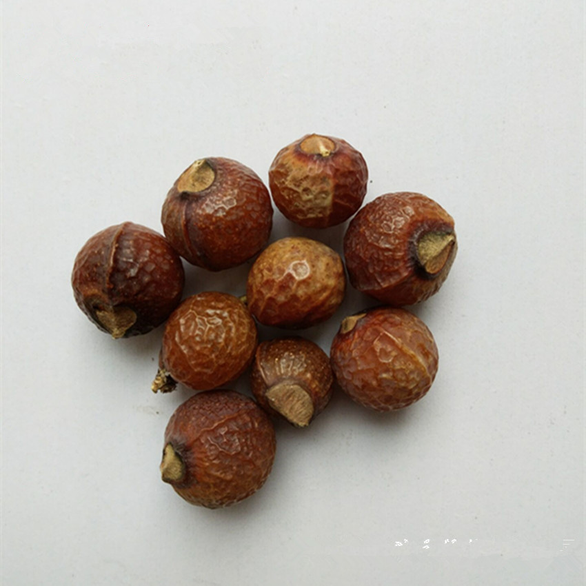 批发供应无患子菩提原料木患子原籽洗手果鬼见愁散装量大从优