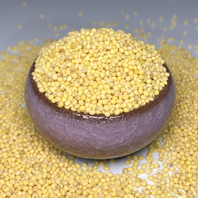 东北新米黍米 粘软大黄米 糯小米 黄糯米 2020农家新黄米