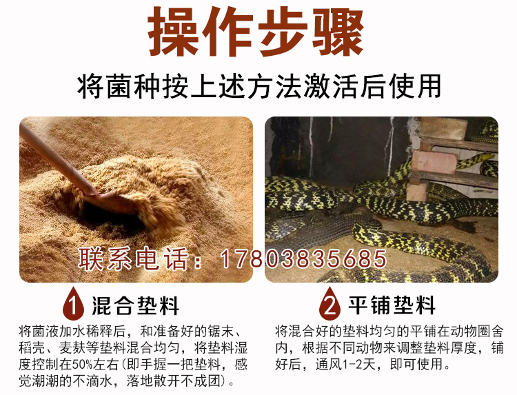 养蛇发酵床步骤