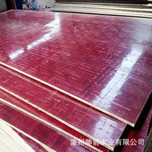 竹胶板厂家 建筑竹胶板 幅面宽 拼缝少 拆模速度快 工程进展速度