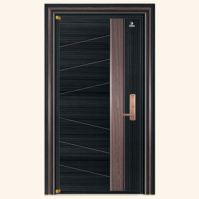 kdx-8031(黑拉丝)德国高端安全门