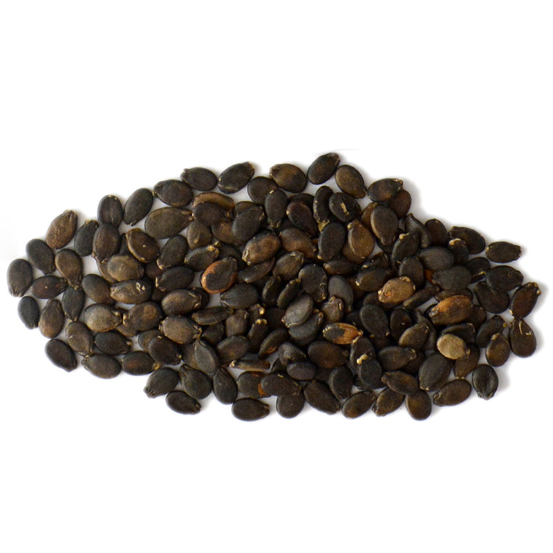 中科茂华水果种子茂华小红玉红肉礼品西瓜种子小果型34斤20粒袋