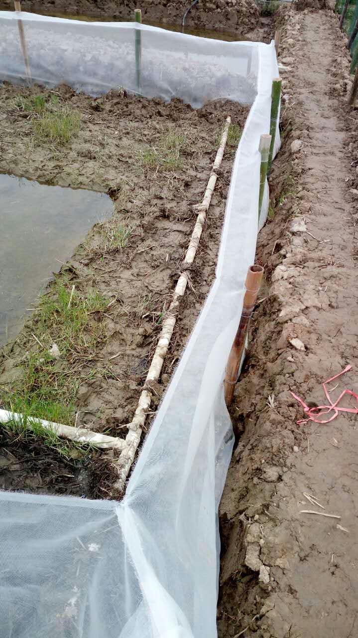 河南青蛙养殖围网 尼龙养殖网牛蛙围网60目鱼塘围网养殖厂