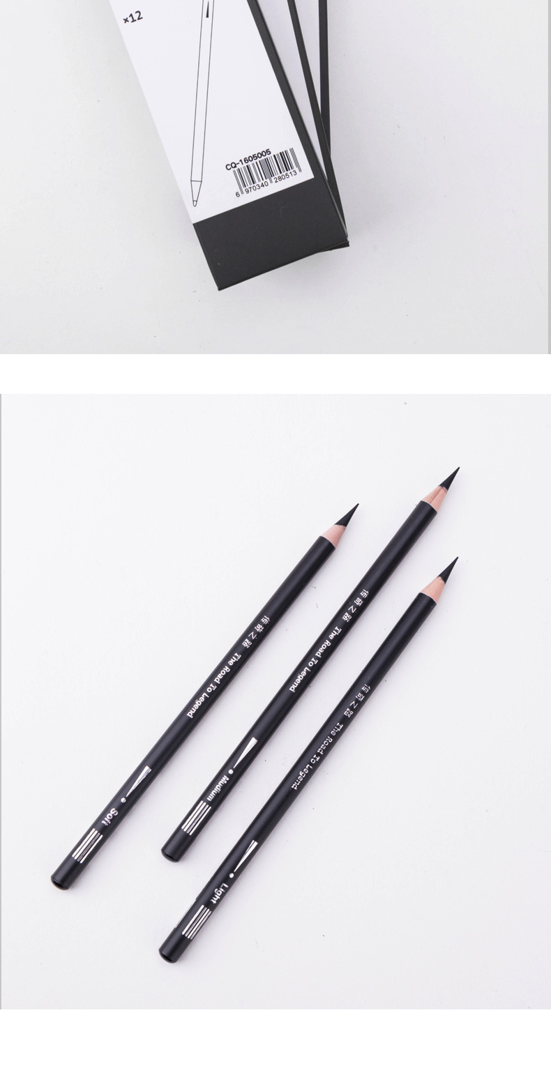 传奇之路黑银炭笔 断芯包赔美术速写素描软中硬套装碳笔绘画铅笔