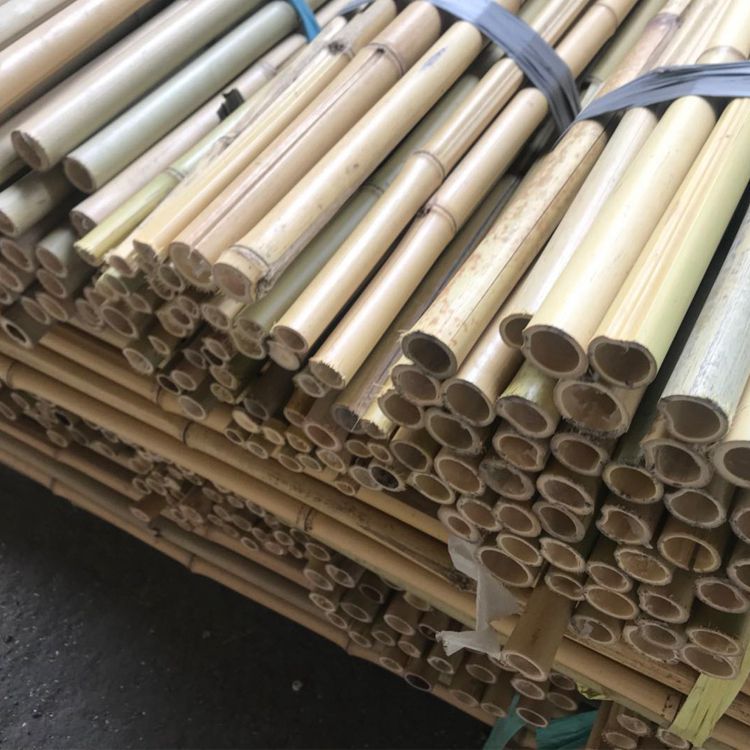 竹竿装饰装修毛竹子屏风隔断栅栏菜园搭架楠竹黄竹杆防腐竹竿批发