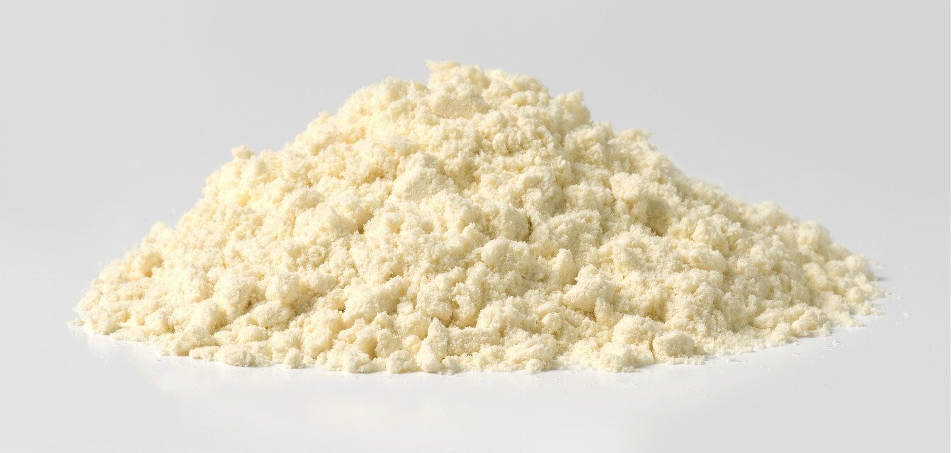 荷兰原装进口vika奶酪粉 烘焙原料 芝士粉 乳酪粉(再制干酪)