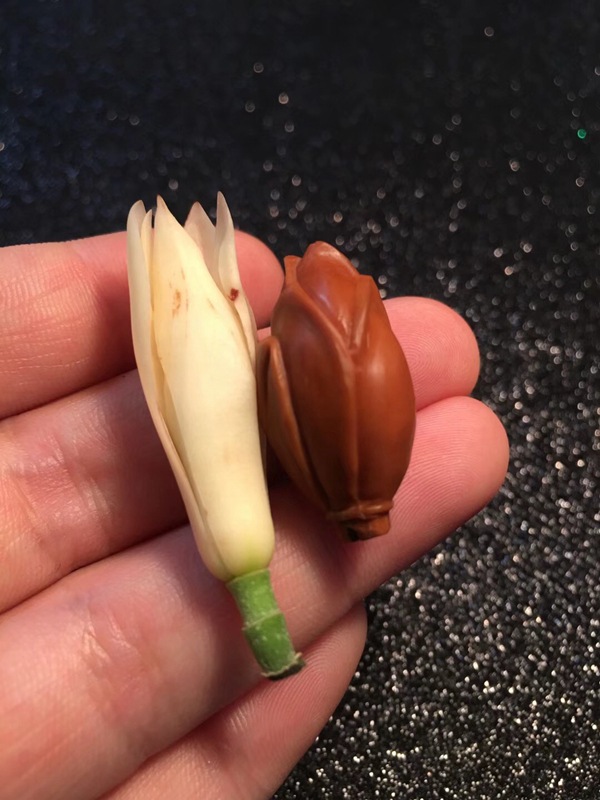 橄榄核雕刻玉兰花手串厂家直销橄榄胡雕刻单籽销售玉兰花核雕长串