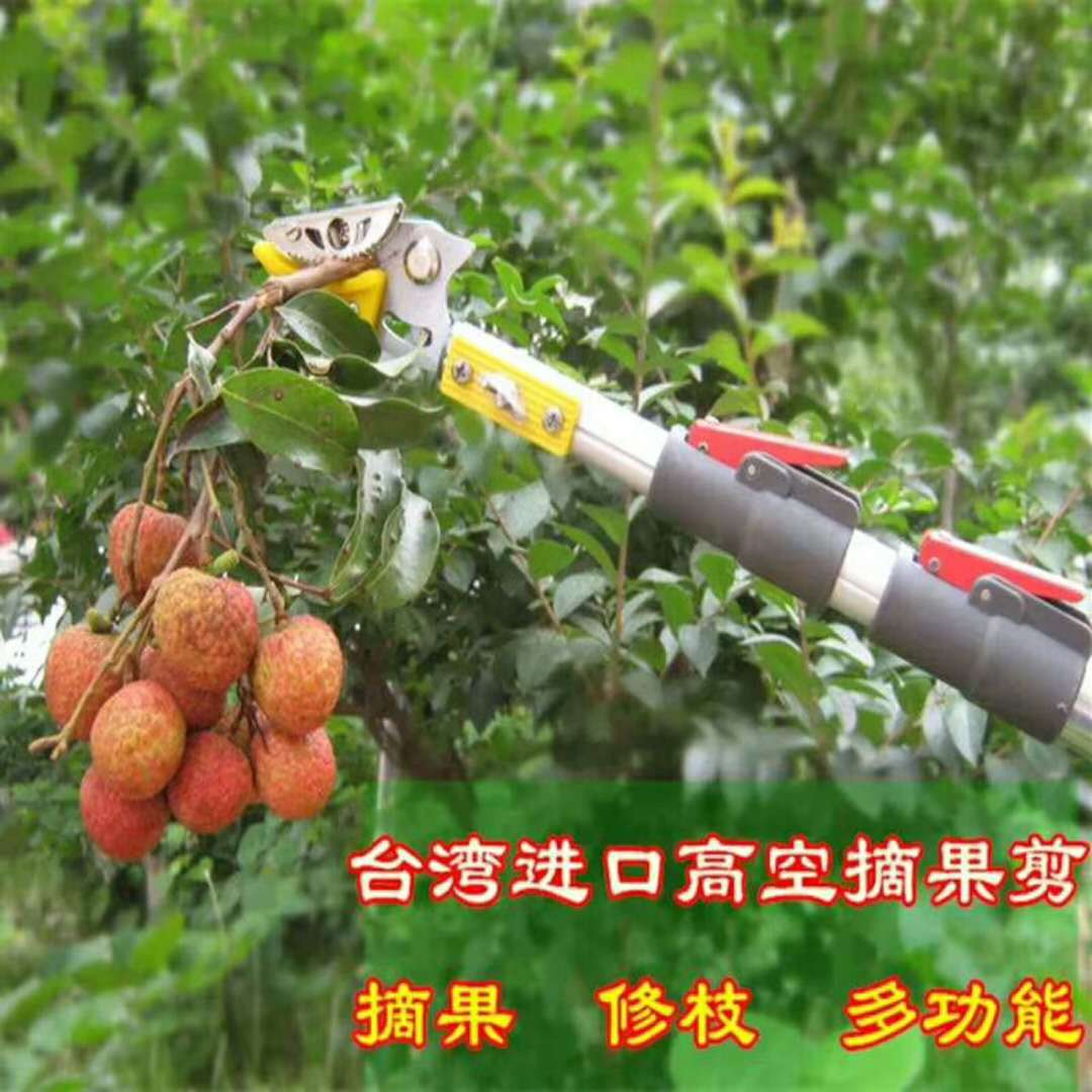园林工具 伸缩高枝 摘果剪果树修枝摘龙眼荔枝剪高空 采果剪