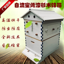 厂家 Flow Hive 自动取蜜蜂巢脾塑料蜂巢蜂具巢框巢础 自流蜜蜂箱