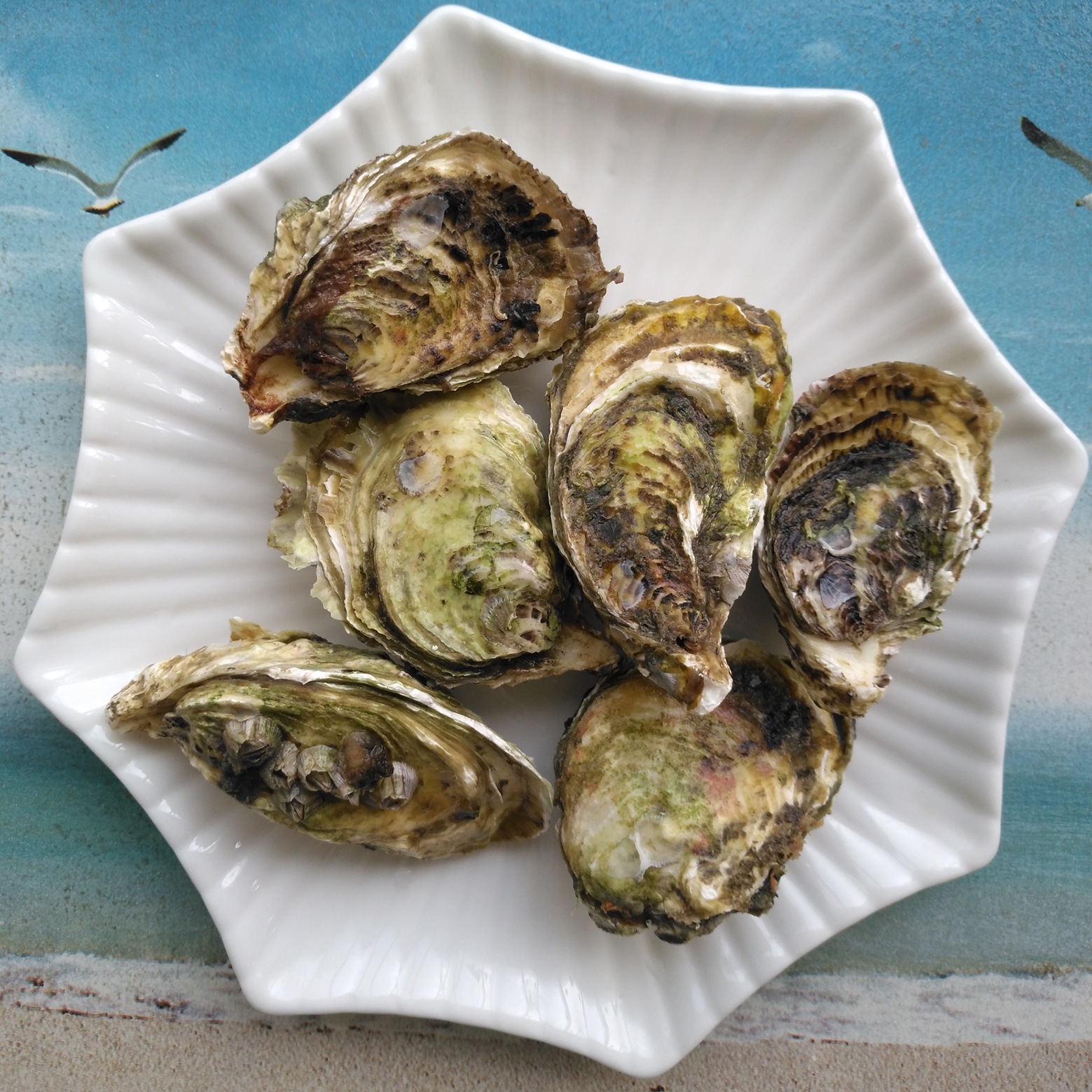 鲜活海鲜生蚝牡蛎海蛎子生猛水产贝类生鲜连云港海头带壳烧烤食材