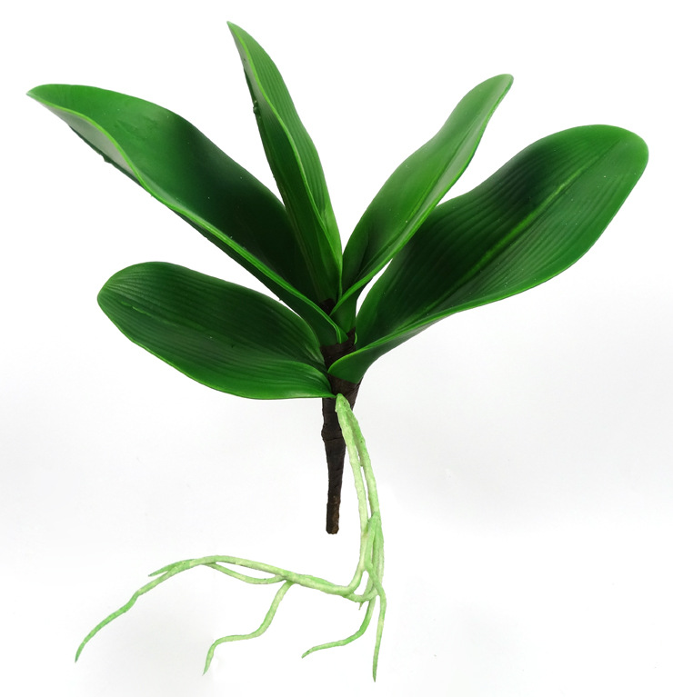 高档仿真蝴蝶兰_小号蝴蝶兰 高档仿真蝴蝶兰叶批发 手感叶子 兰花叶批