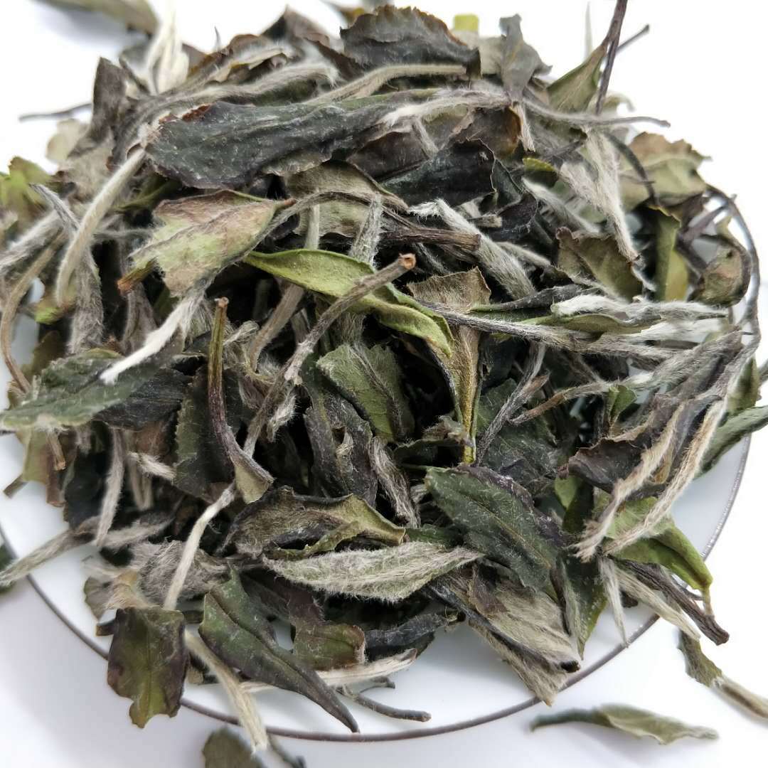福鼎白茶白牡丹 散装茶叶批发 明前高山白茶毫香鲜嫩 厂家直销