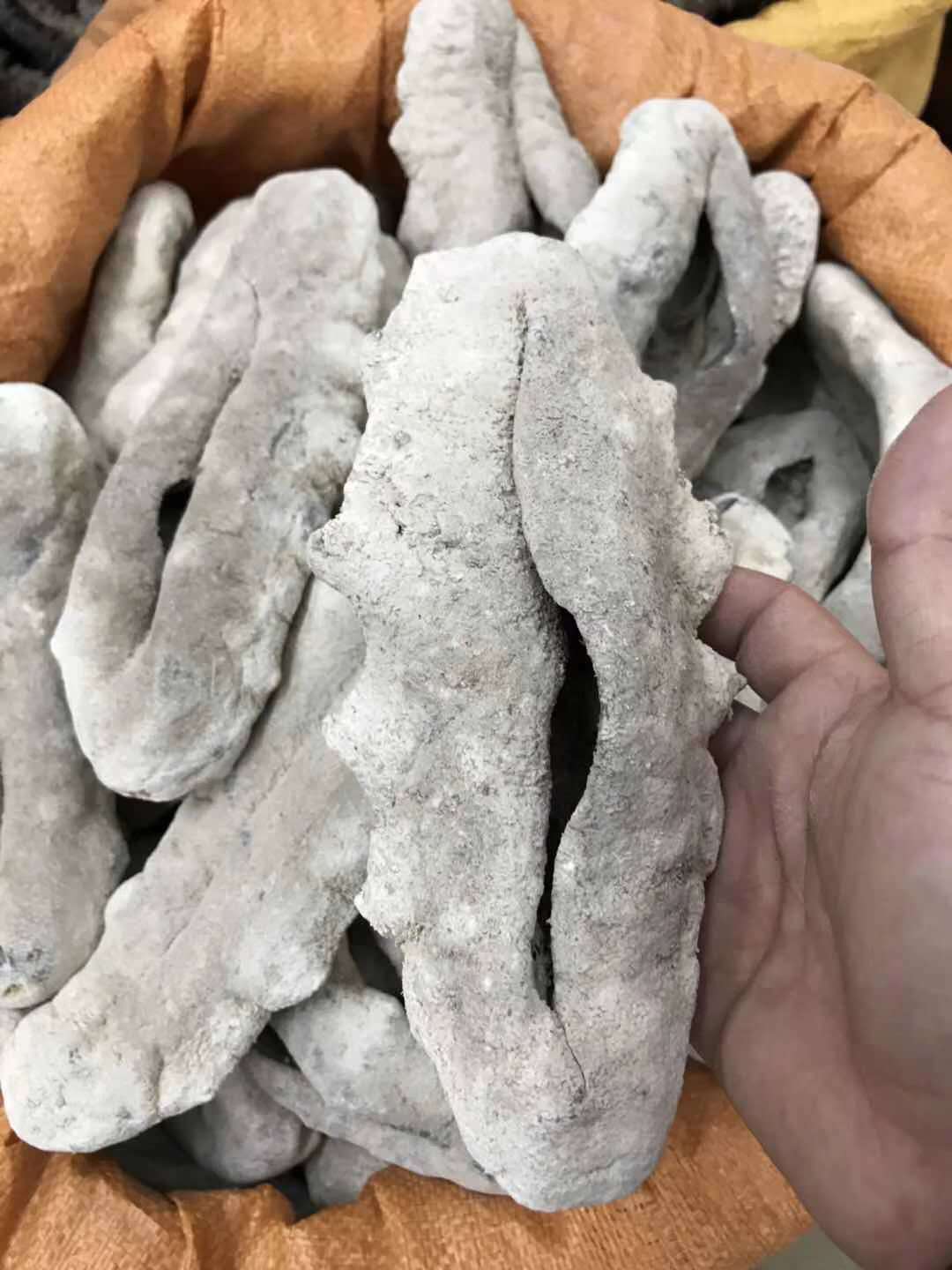 一德路海味 非洲猪婆参 干度好发量大 2-3头￥490元 3-4头470元