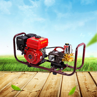 175动力汽油手抬式手抬高压机动农用打药机清洗农用稻田喷雾机